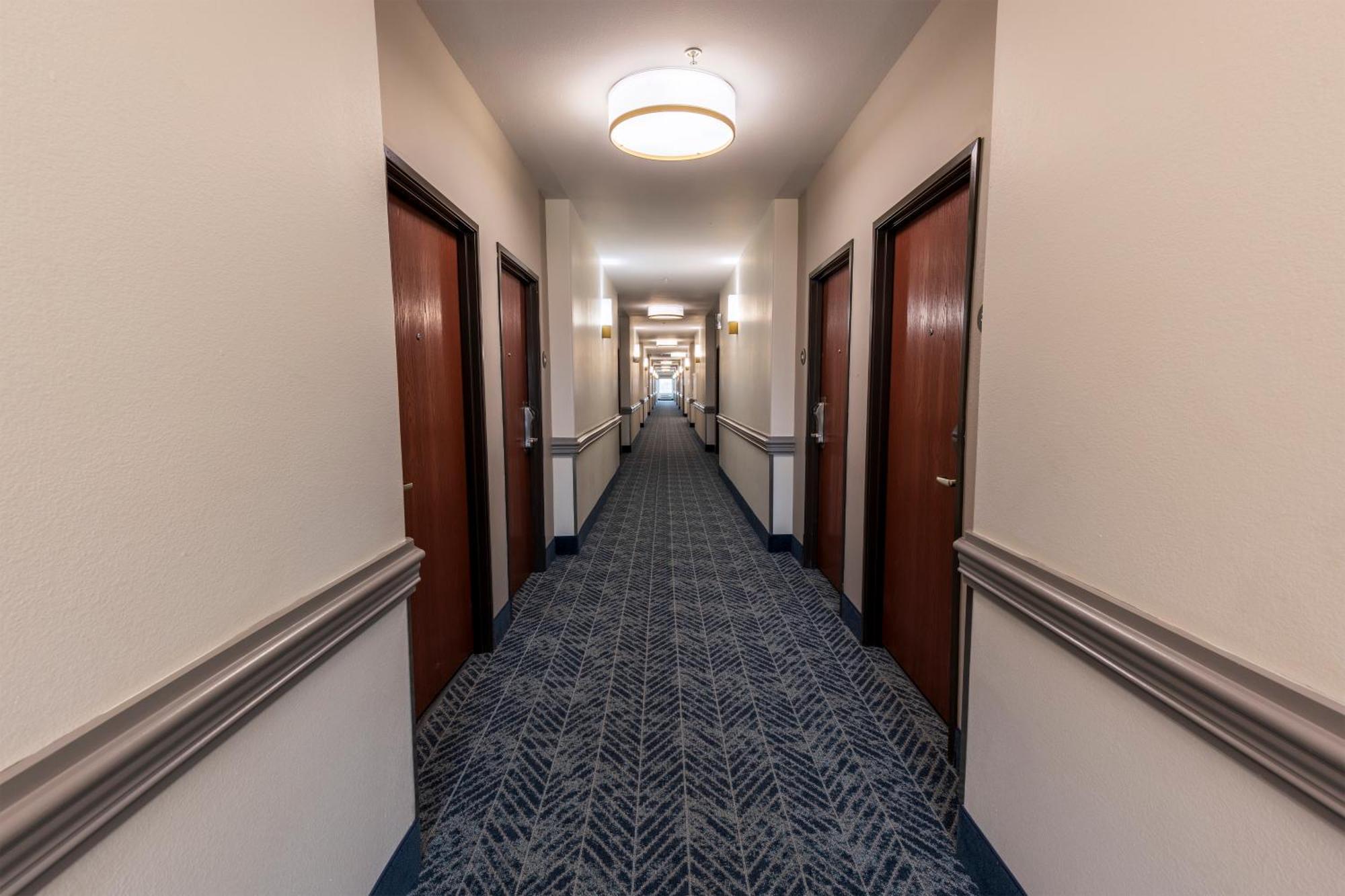 Comfort Inn & Suites New Iberia - Avery Island Esterno foto